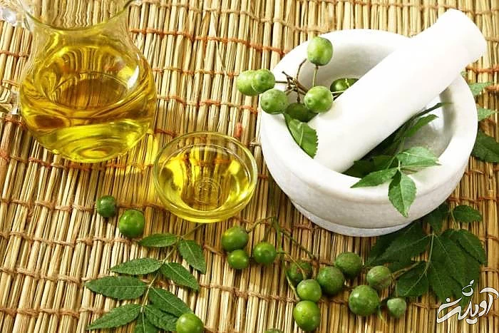 رفع بوی بد موهای سر با روغن درخت نیم روغن درخت نیم